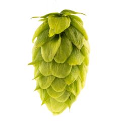 T90 Rottenburg Hop Pellets - 5 kg