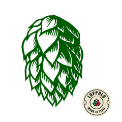 T90 Italian Sorachi Ace hops kg 5