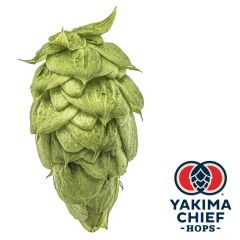 Yakima Chief Hops® T90 Nugget Hop Pellets - 5 kg