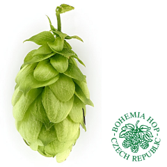 T90 Saaz Shine Hop Pellets - 1 kg