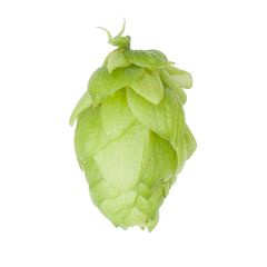 T90 Saphir Hop Pellets - 5 kg
