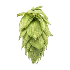 Yakima Chief Hops® T90 Sorachi Ace Hop Pellets - 5 kg