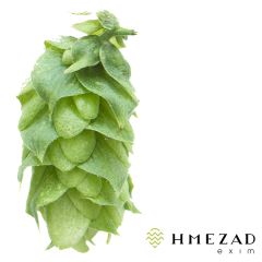 T90 Styrian Cardinal Hop Pellets - 1 kg