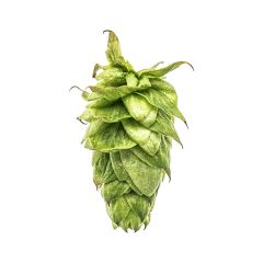 T90 Summit™ Hop Pellets - 1 kg