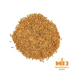 Dingemans Oat Malt - 25 kg
