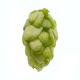 Fuggle Hop Cones - 250 g