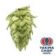 Yakima Chief Hops® Cryo Hops® pellets Centennial - 5 kg