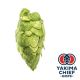 Yakima Chief Hops® Cryo Hops® pellets Citra® - 5 kg