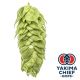 Yakima Chief Hops® T90 Comet Hop Pellets - 5 kg