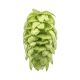 Cryo Hops® pellets Mosaic® - 1 kg