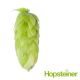 Perle (Hallertau) Hop Cones - 5 kg