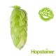 T90 Perle Organic (Hallertau) Hop Pellets - 5 kg