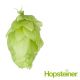 Saphir (Hallertau) Hop Cones - 5 kg