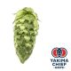 Yakima Chief Hops® Cryo Hops® pellets Simcoe® - 5 kg