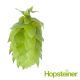 T90 Spalter Select (Hallertau) Hop Pellets - 5 kg