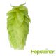 Tettnang Tettnanger Hop Cones - 100 g