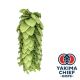 Yakima Chief Hops® T90 Vista Hop Pellets - 5 kg