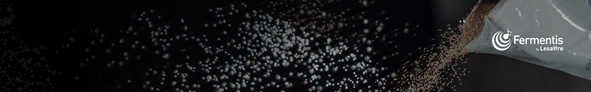 Fermentis-Trockenhefen