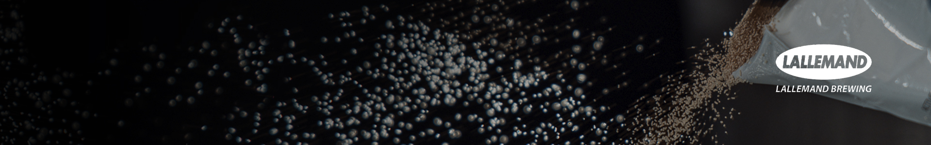 Lallemand-Trockenhefen