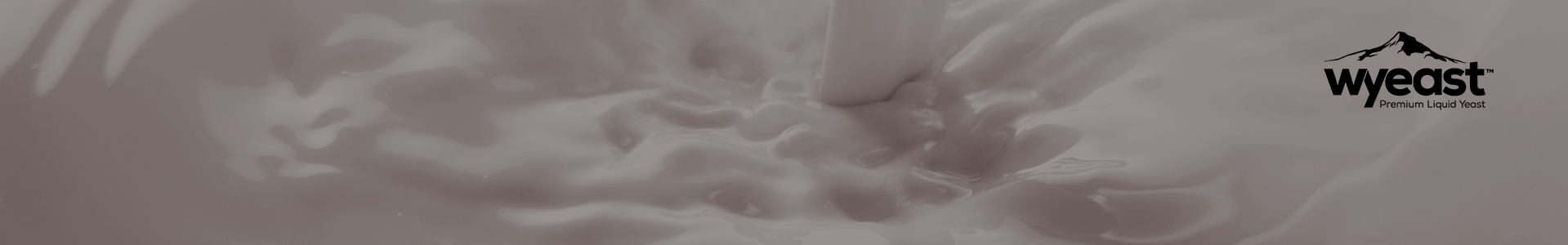 Wyeast-Flüssighefen