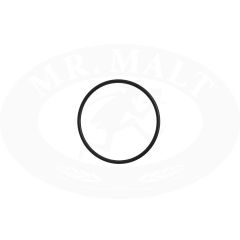 O-Ring für Filterkorb 90°