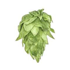 Cryo Hops® Pellets Krush® - 1 kg