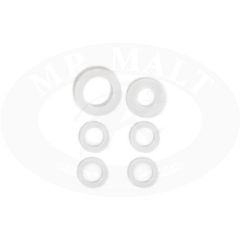 Grainfather G30 Ersatz-Dichtungen