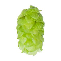 Hopfen Bramling Cross - 5 kg Pellets T90