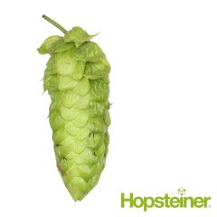 Hopfen Bravo™ - 5 kg Pellets T90