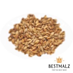 Malz Best Caramel® Munich I - 5 kg