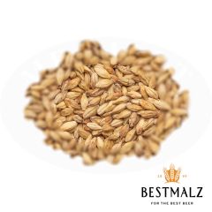 Malz Best Caramel® Aromatic - 25 kg