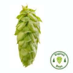 Hopfen Challenger - 250 g Pellets T90