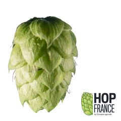 Hopfen Aramis - 5 kg Pellets T90