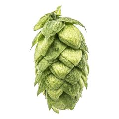 Hopfen Azacca® - 5 kg Pellets T90