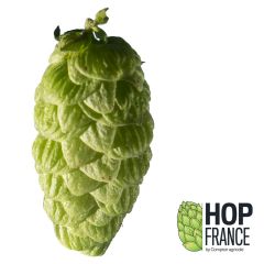 Hopfen Barbe Rouge - 5 kg Pellets T90