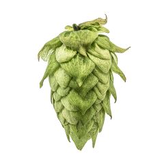Cryo Hops® pellets Centennial - 50 g