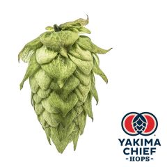 Hopfen Yakima Chief Hops® Centennial - 5 kg Dolden