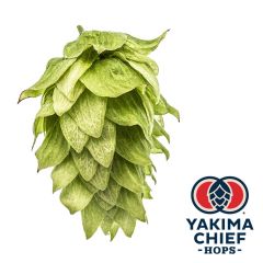 Hopfen Yakima Chief Hops® Chinook - 5 kg Dolden