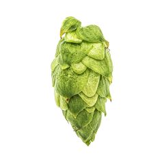 Cryo Hops® Citra®-Pellets - 50 g