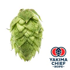 Hopfen Yakima Chief Hops® Columbus - 5 kg Dolden