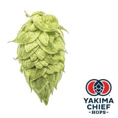 Hopfen Yakima Chief Hops® Ekuanot® - 5 kg Dolden