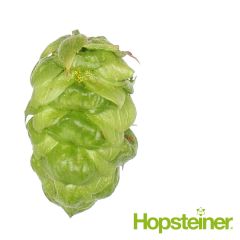 Hopfen Eureka!™ - 250 g Pellets T90