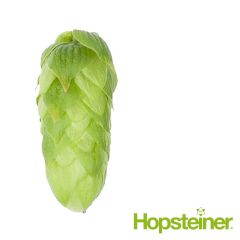Hopfen Blanc - 250 g Pellets T90