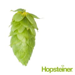 Hopfen Magnum (Hallertau) - 5 kg Dolden