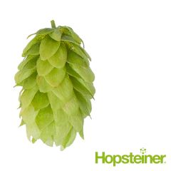 Hopfen Mittelfrüh (Hallertau) - 5 kg Dolden