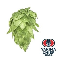 Hopfen Yakima Chief Hops® Krush® - 5 kg Dolden