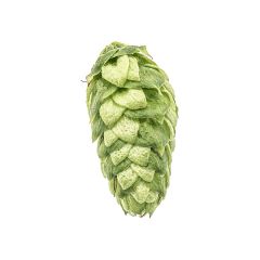 Cryo Hops® pellets Loral® - 50 g