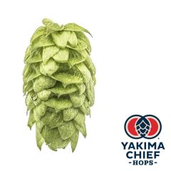 Hopfen Yakima Chief Hops® Mosaic® - 5 kg Dolden
