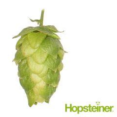 Hopfen Northern Brewer - 5 kg Dolden