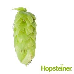 Hopfen Perle (Hallertau) - 5 kg Dolden